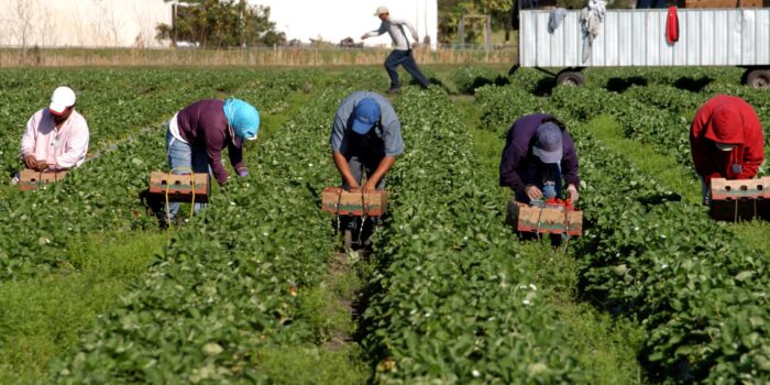 Una Europa envejecida necesita de los migrantes para&nbsp;sobrevivir